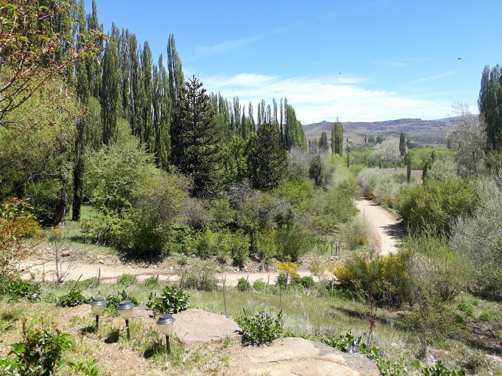Posada De Campo La Calma Aluminé Exterior photo
